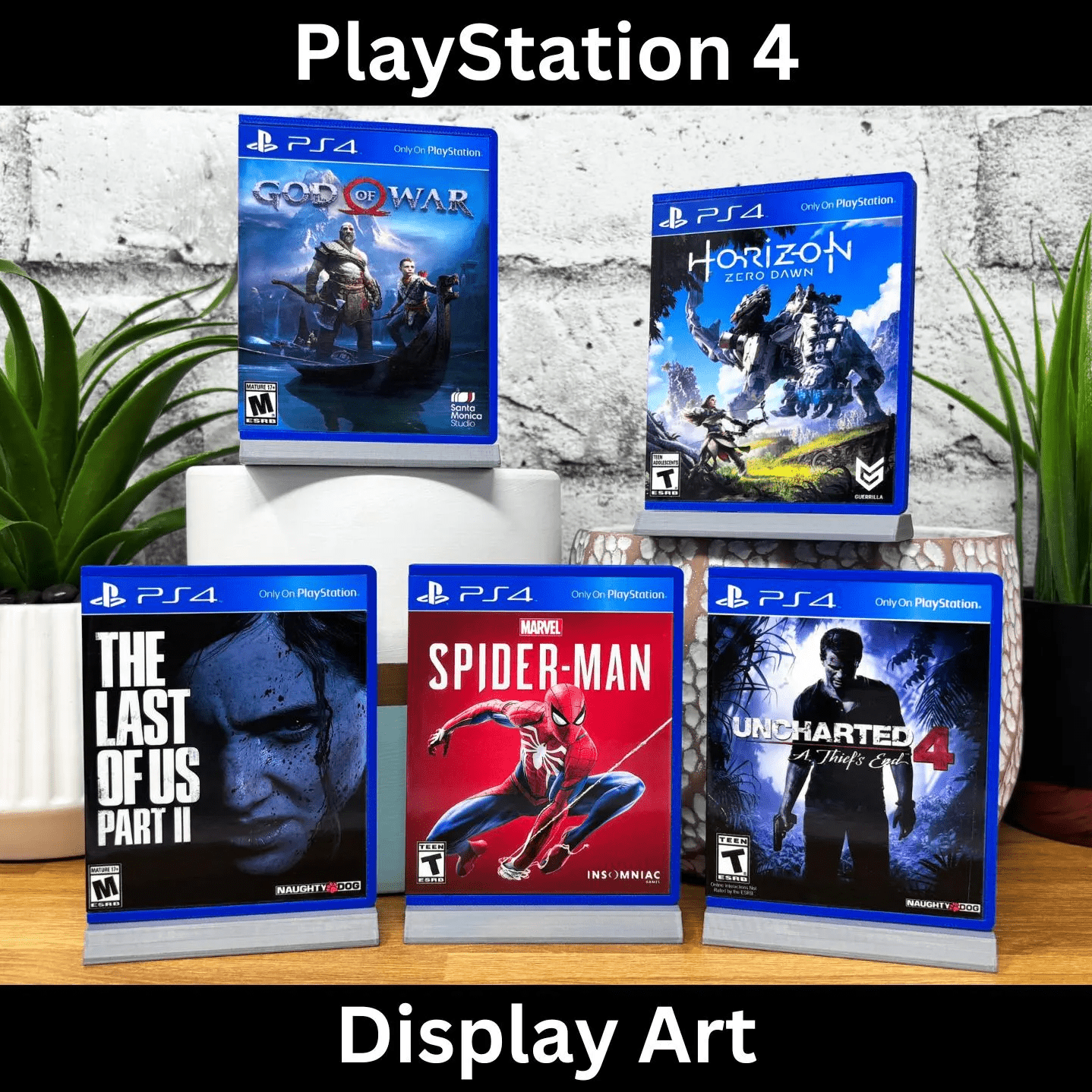 PS4 Display Art (XXL)