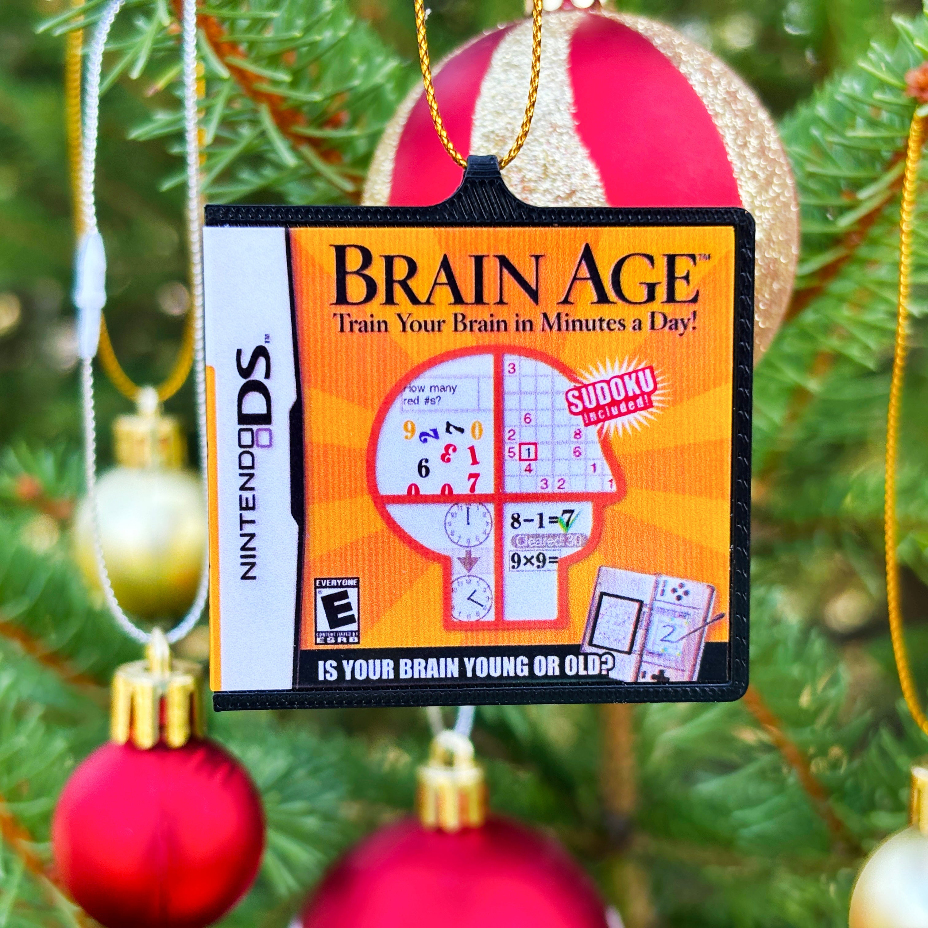 DS Christmas Ornaments - BitsyLabs