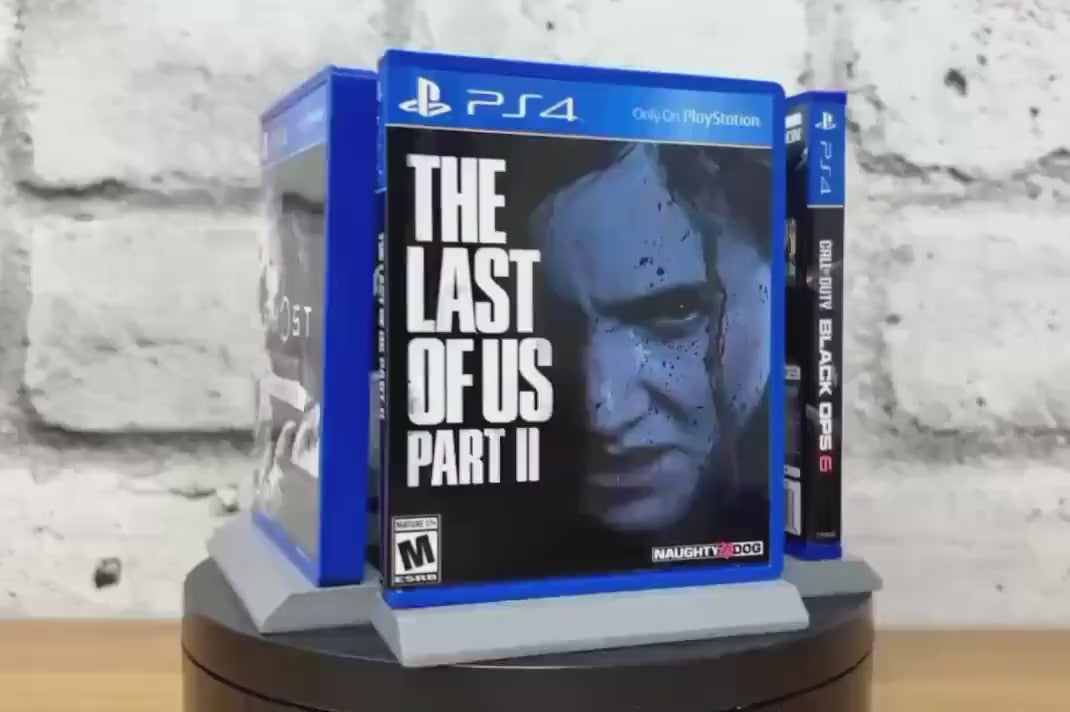 PS4 Display Art (XXL)